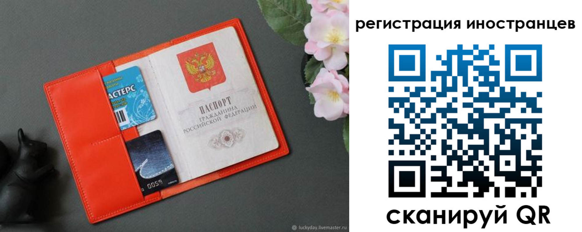 временная регистрация в Гае